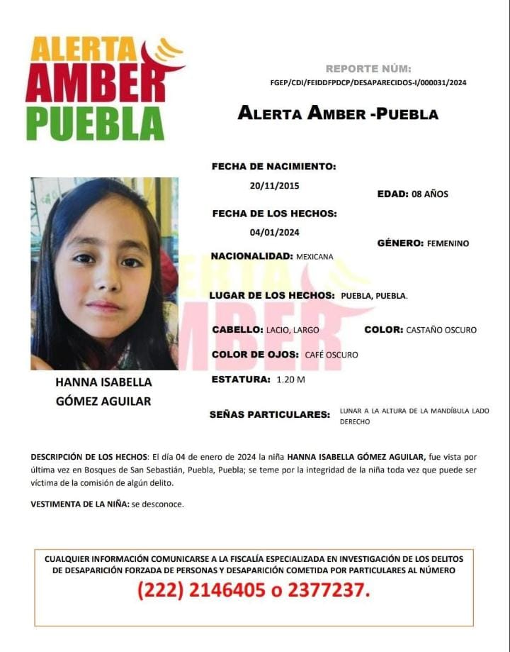 JCarlos_Valerio's tweet photo. #ServicioSocial || Solicitamos su ayuda para localizar a Hanna Isabella Gómez Aguilar de 8 años de edad. Fue vista por última vez el 04 de enero en la colonia Bosques de San Sebastián, #Puebla. https://t.co/PfQ4i6N6aE