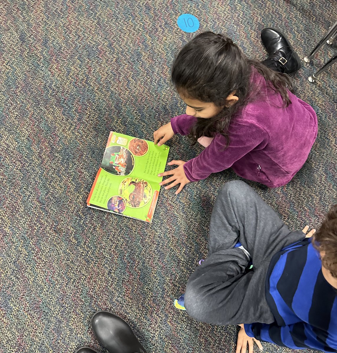 Working so hard finding nonfiction text features and knowing WHY they’re there! We are ready to start researching our U.S. symbols ! 😍 #secondgrade #hvrsd