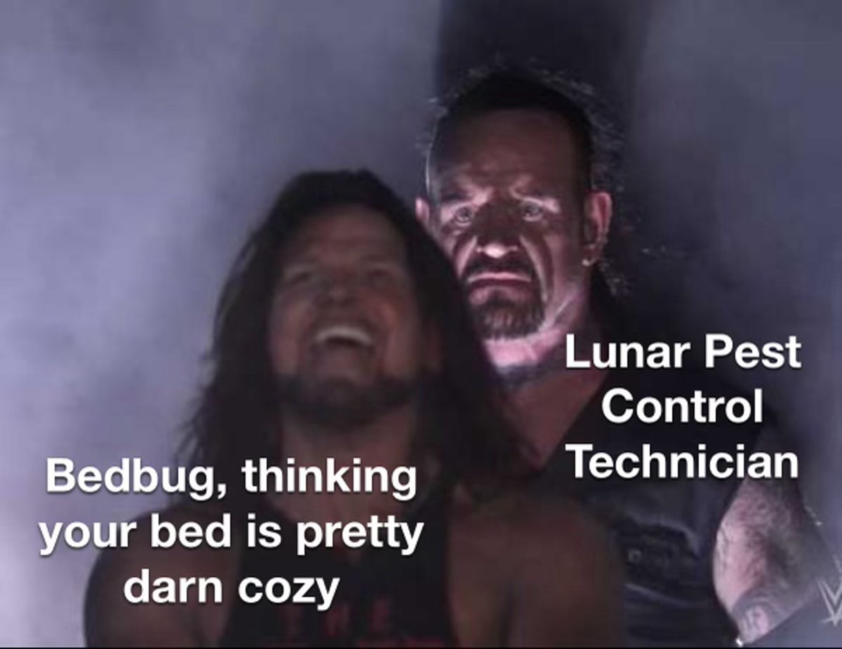 lunar_pest's tweet image. 😂 Laughter is the best pest control! Tag a friend who&apos;d appreciate this pest-related humor. Let&apos;s keep the good vibes flowing! #PestHumor #LunarLaughs 🌙🐜