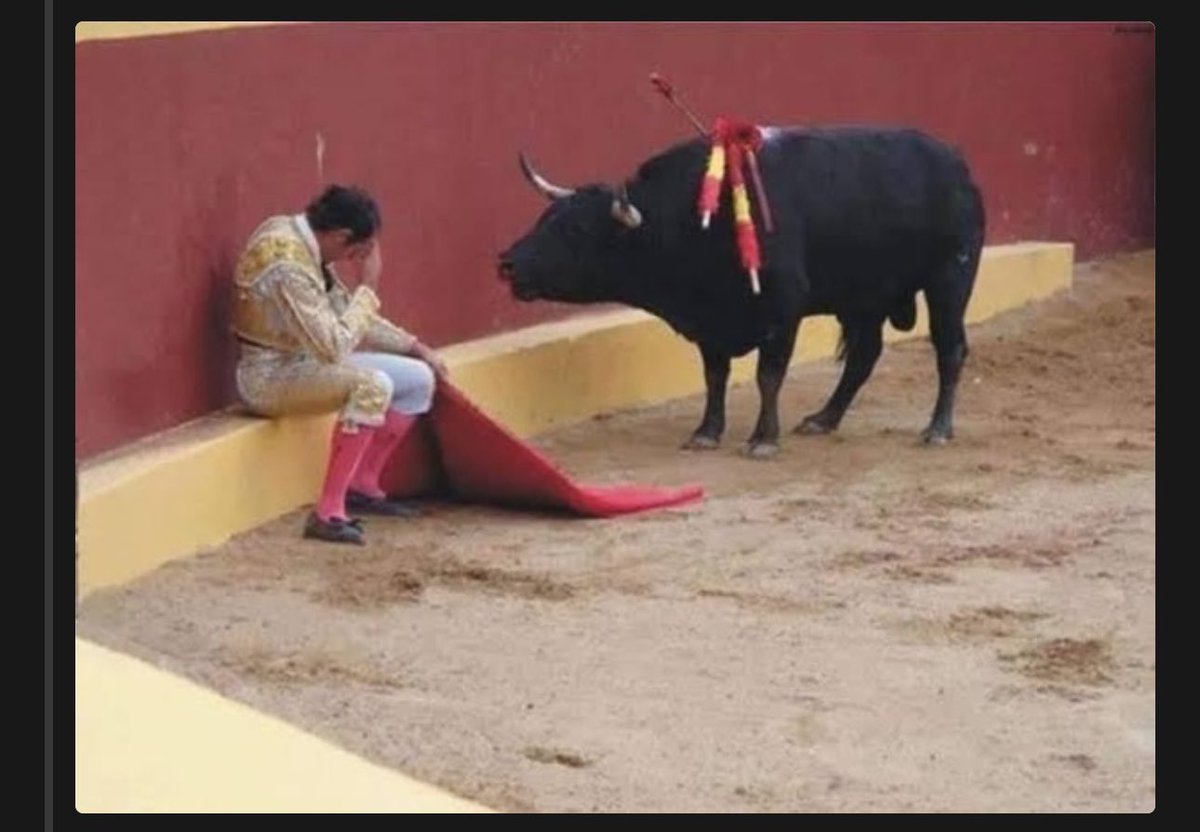 kingfasi's tweet photo. At times even a bullfighter needs a break! https://t.co/pvT8VK15V5