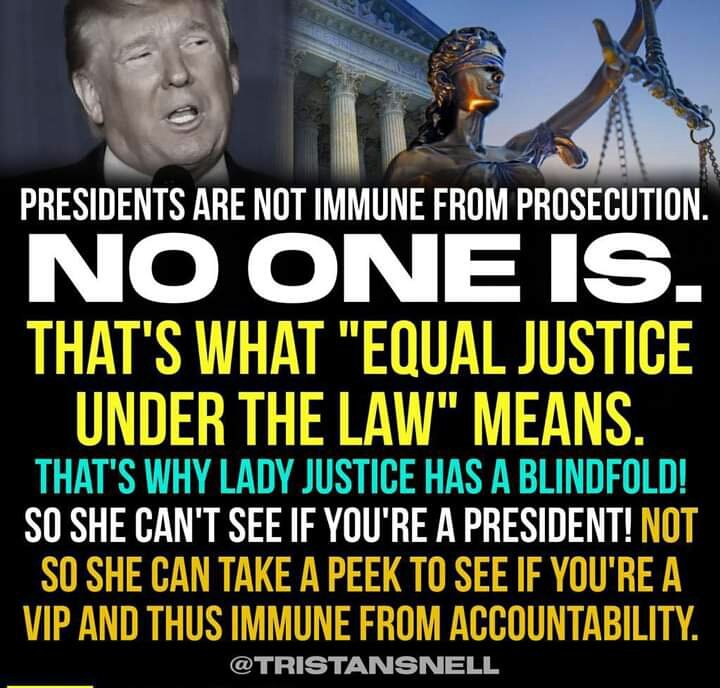 Do you agree? Presidents are not immune from prosecution.