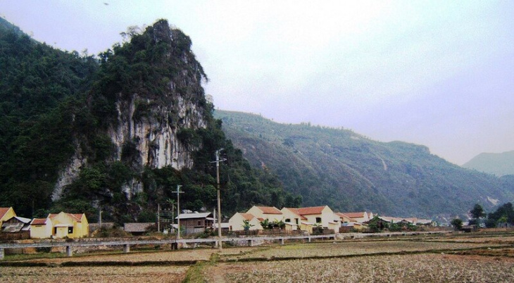 Leilie26's tweet photo. Sống an nhiên, vô tư là một cách để chăm sóc tâm hồn bạn. Hãy chăm sóc tâm hồn như những chiếc cây. Đừng chỉ nên tưới đủ nước,bạn còn phải trò chuyện và gần gũi nó nữa. https://t.co/Nuvpjf8bjS