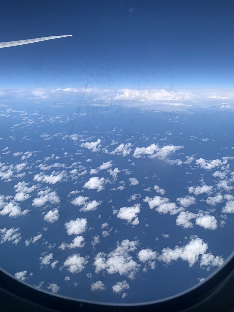 yocosaka's tweet photo. Finally arrived in Malta and started new life. So excited! https://t.co/1CqLIQMJKT