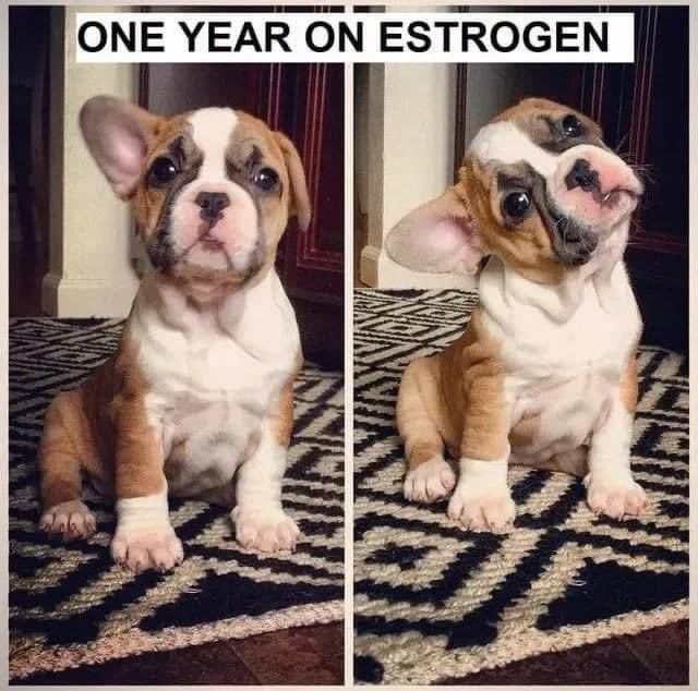 Stole from FB - dying