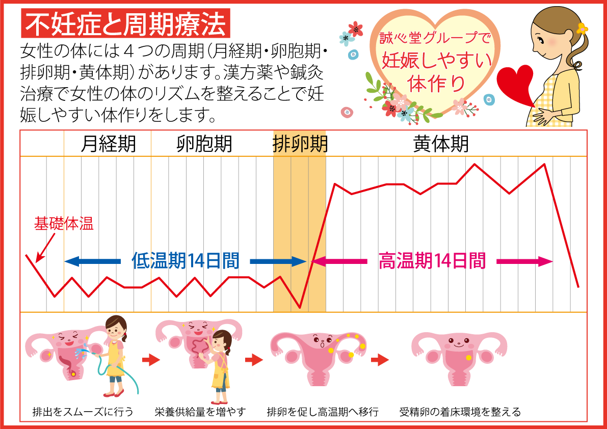 私の体温　基礎体温　箱無し 私の体温 基礎体温 箱無し