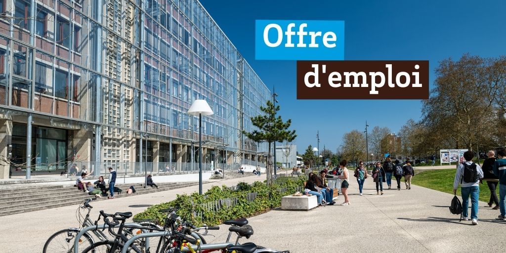 #Emploi 🤝 L'université recrute au poste de responsable du développement d'affaires, pour créer ce service, élaborer, déployer une politique commerciale/marketing et accompagner les changements de l'établissement - missions et candidature en ligne : u-bordeaux.fr/universite/tra…