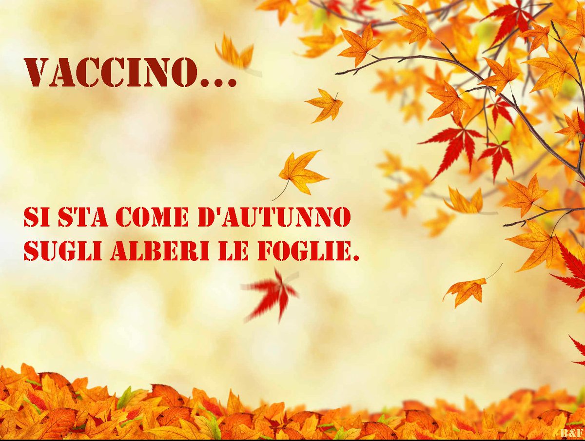 marcosi51306532's tweet photo. 2024: Rivisitazione...
E "le foglie" a questo giro non avevano una divisa ma abiti civili...
...E tanta fiducia mal riposta
#attualitร #10gennaio #10gen #poesia #Ungaretti #vaccino #vaccini #controindicazioni #malori #morteimprovvisa #nessunacorrelazione #ionondimentico #satira https://t.co/RdJZzZ9RCf