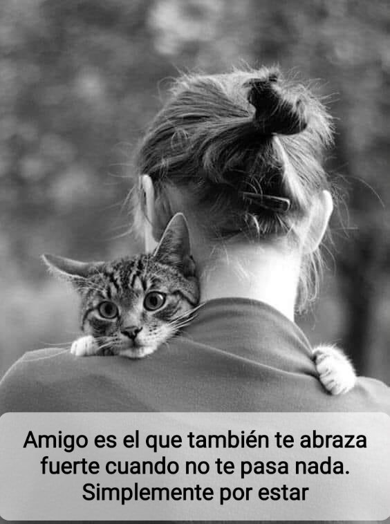 ramixcard's tweet photo. Un abrazo... https://t.co/RVr1JDYu9f