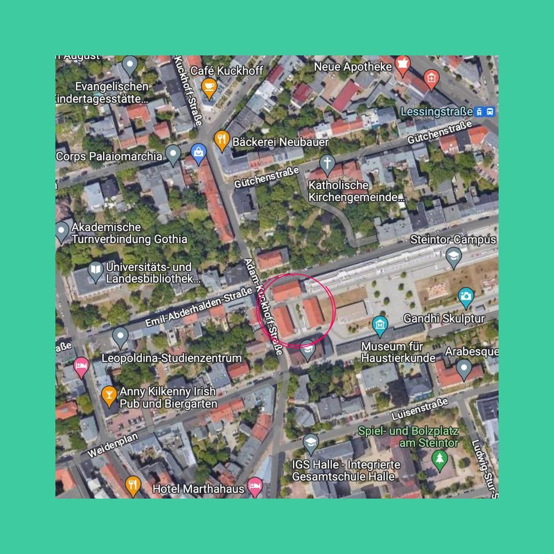 sffhalle's tweet photo. Wir laden euch herzlich zu unserer Netzwerkfeier ein, wo wir Ideen für gemeinsame Aktionen sammeln, uns kennenlernen und unser Netzwerk für eine nachhaltige Zukunft in unserer Stadt stärken können. 🗣️
Bringt gerne Snacks, Getränke oder Weiteres mit. 🍬
Wir freuen uns auf euch! 💚 https://t.co/tY8Yb4iBnx