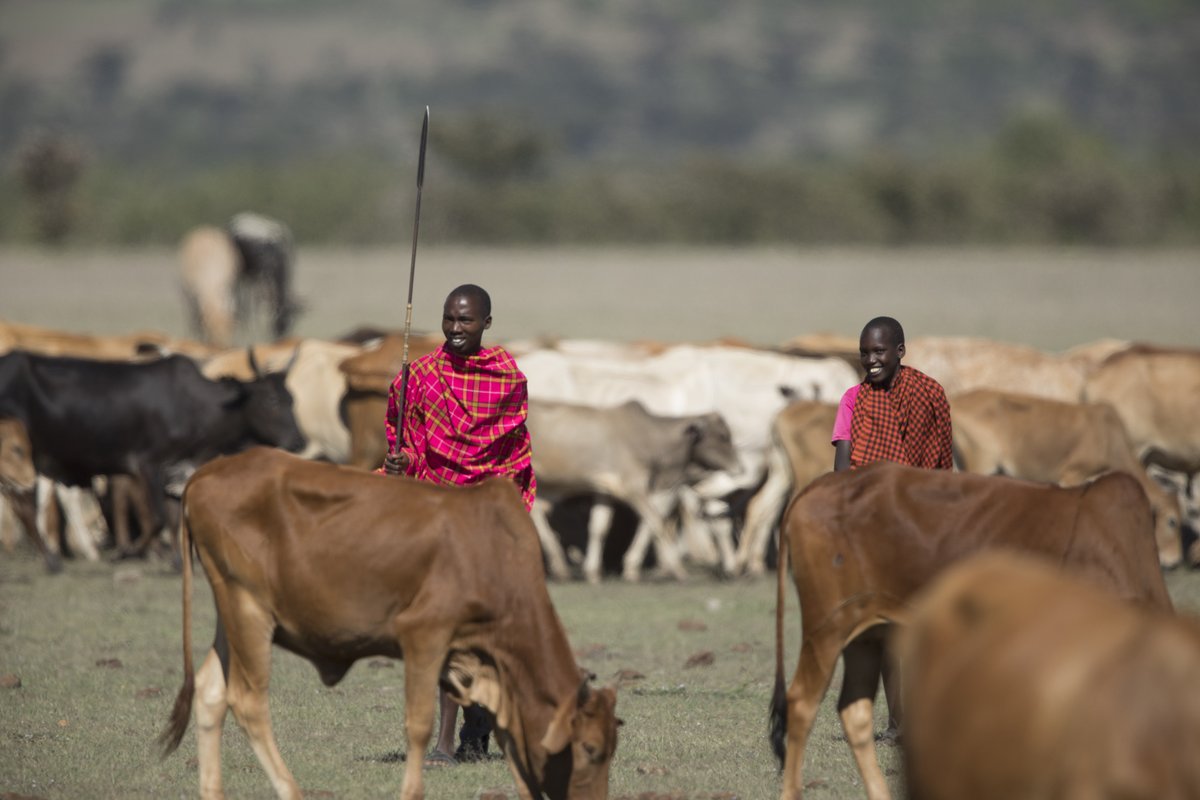 Basecamp Explorer Kenya tweet media