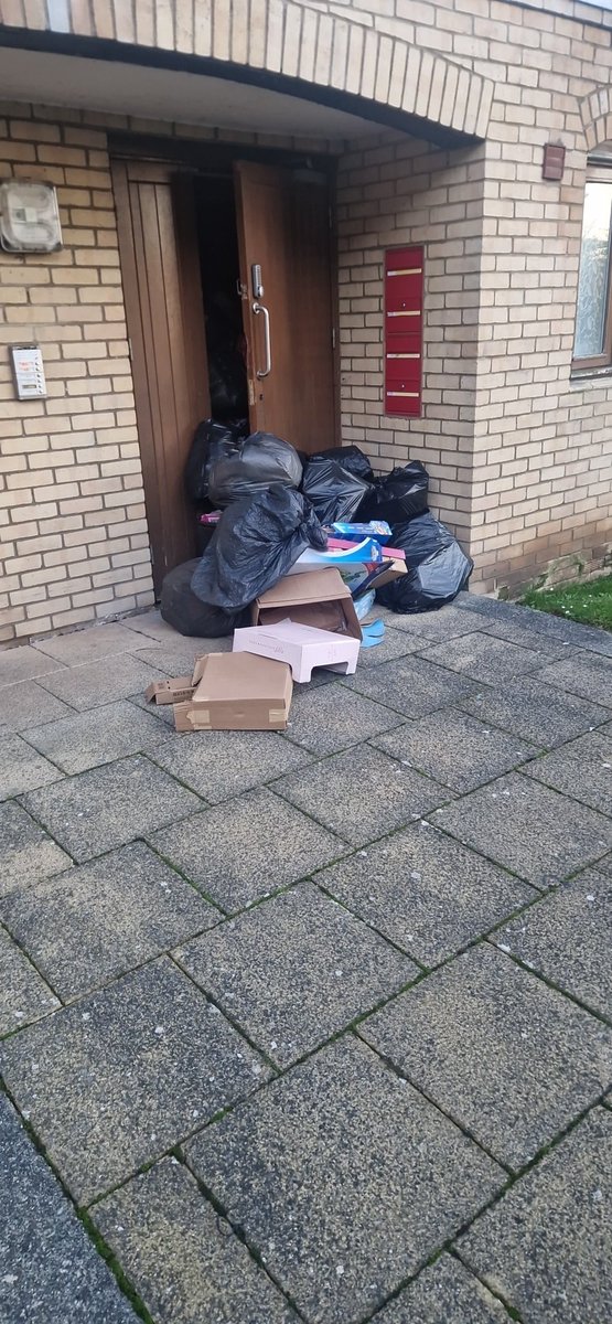bigd2884's tweet photo. @NorwichCC week 8 of the bins not being emptied at 62 to 67 wherry road . It's a joke and is attracting pests https://t.co/iL4zsW4h4Q