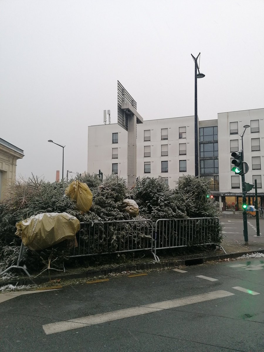 OUIN OUIN Y A PAS DE MAGIE DE NOËL À BORDEAUX LA FAUTE À HURMIQUE. OH MES COUILLES, ME DIS PAS QUE CES SAPINS TOUS BLANCS ÇA TE TRANSPORTE PAS DIRECT SUR LES MARCHÉS D'ALSACE !!!