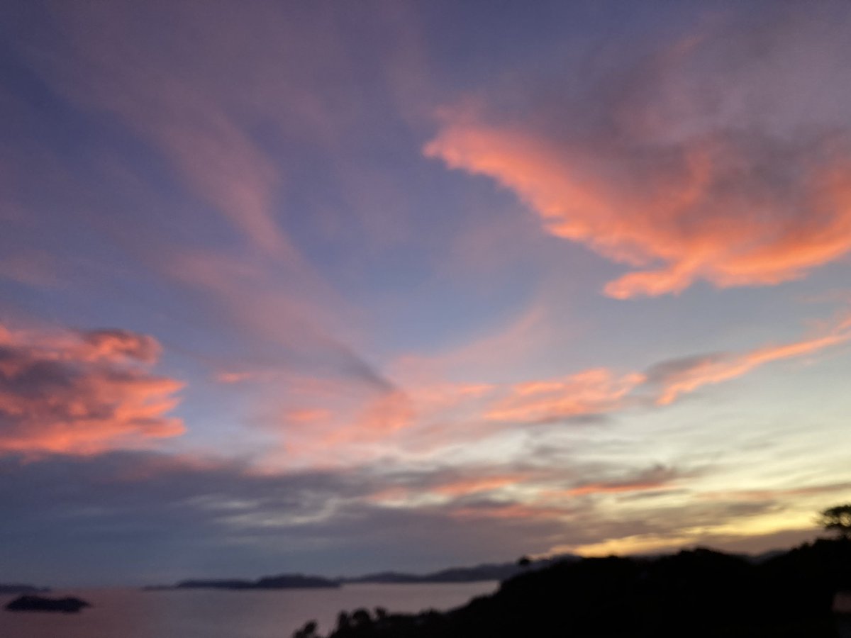 Te Whanganui-a-Tara is turning it on this evening 😍