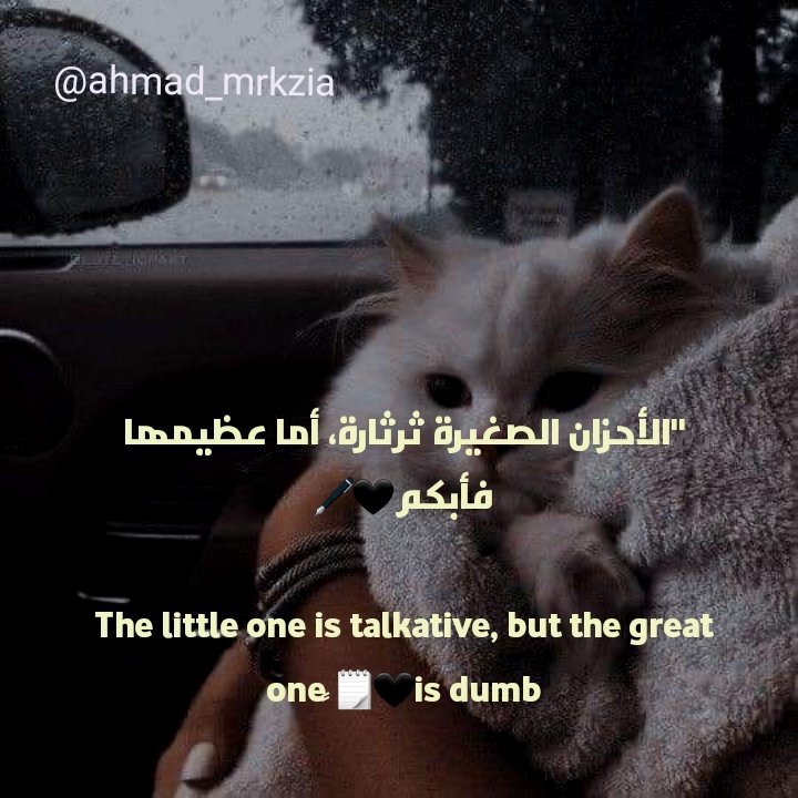 AMrkzyt's tweet photo. https://t.co/hB68Wtk9ws