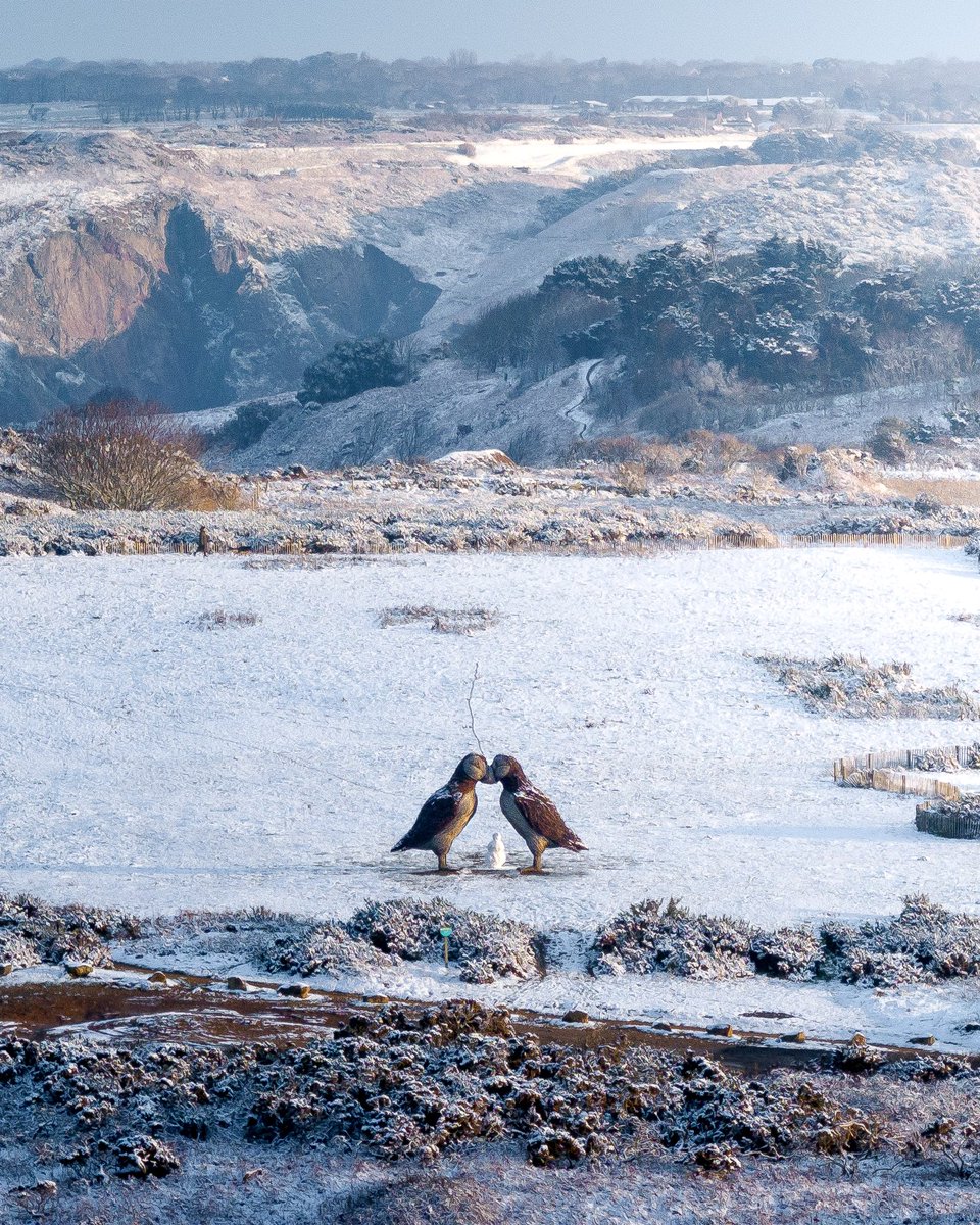 Bam Perspectives (@bamperspectives) on Twitter photo The Plemont Puffins were joined by a snowman when I got there yesterday!
.
<a href="/DJIGlobal/">DJI</a> <a href="/VisitJerseyCI/">Visit Jersey</a> <a href="/jsynationalpark/">Jersey National Park</a> <a href="/NatTrustJersey/">NationalTrustJersey</a> <a href="/JEPnews/">jepnews</a> <a href="/ITVChannelTV/">ITV Channel News</a> <a href="/Channel103/">Channel 103</a> <a href="/BBCJersey/">BBC Jersey</a> <a href="/NatGeoTravelUK/">National Geographic Traveller (UK)</a> <a href="/DroneHour/">DroneHour</a> <a href="/Jersey_Met/">Jersey Met</a> <a href="/bbcweather/">BBC Weather</a> <a href="/itvweather/">ITV Weather</a> The Plemont Puffins were joined by a snowman when I got there yesterday!
.
<a href="/DJIGlobal/">DJI</a> <a href="/VisitJerseyCI/">Visit Jersey</a> <a href="/jsynationalpark/">Jersey National Park</a> <a href="/NatTrustJersey/">NationalTrustJersey</a> <a href="/JEPnews/">jepnews</a> <a href="/ITVChannelTV/">ITV Channel News</a> <a href="/Channel103/">Channel 103</a> <a href="/BBCJersey/">BBC Jersey</a> <a href="/NatGeoTravelUK/">National Geographic Traveller (UK)</a> <a href="/DroneHour/">DroneHour</a> <a href="/Jersey_Met/">Jersey Met</a> <a href="/bbcweather/">BBC Weather</a> <a href="/itvweather/">ITV Weather</a>