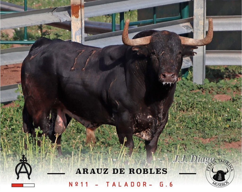 11-Talador de <a href="/Arauzderobles/">Ganadería Arauz de Robles</a> 
Exhibido el 23 de Octubre de 2021 en nuestro Vll Aniversario.