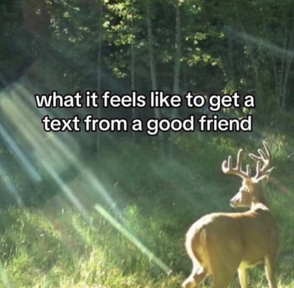 fionaellis_'s tweet image. 