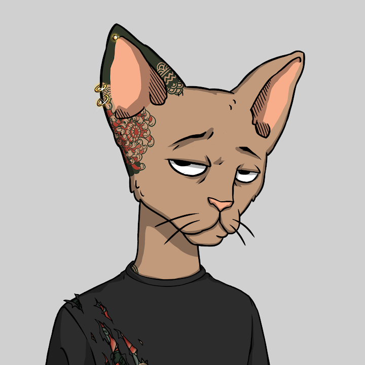 Chelsea Davies tweet media