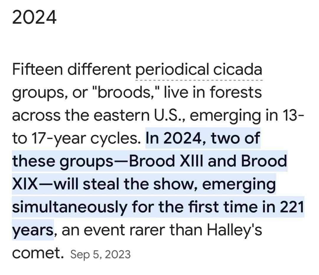 Periodical Cicadas 2024 Schedule Of Events Crin Mersey