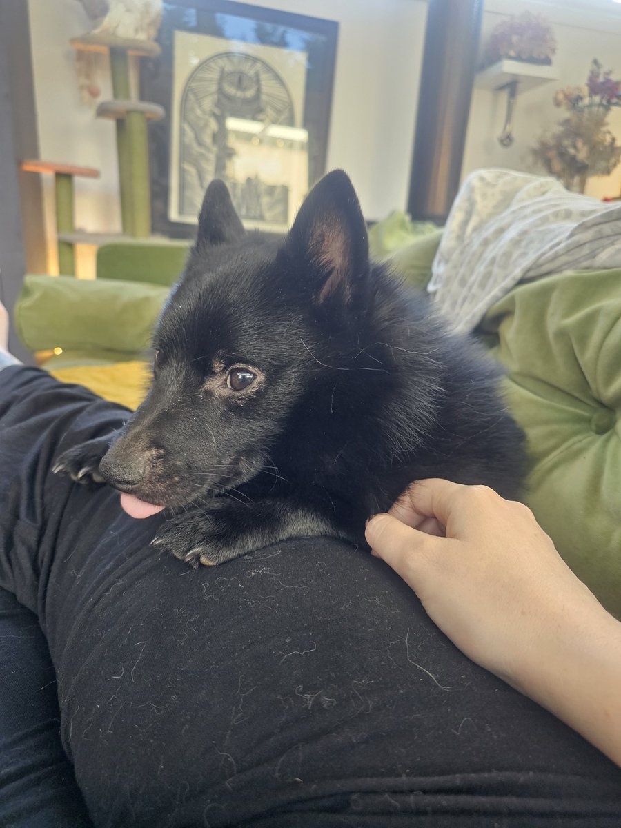 Slushpuppy tweet media