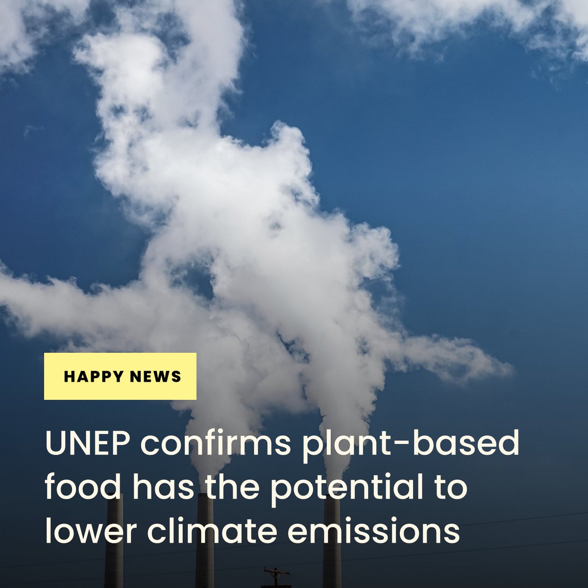 Plant-based power in the spotlight! 🌱 According to the latest @UNEP report, plant-based food is not just tasty—it's a game-changer for the environment! 🌎 Ready to make your plate a force for change? #countusin #takeastep #plantbased #eatmoreveggies #sustainablefuture