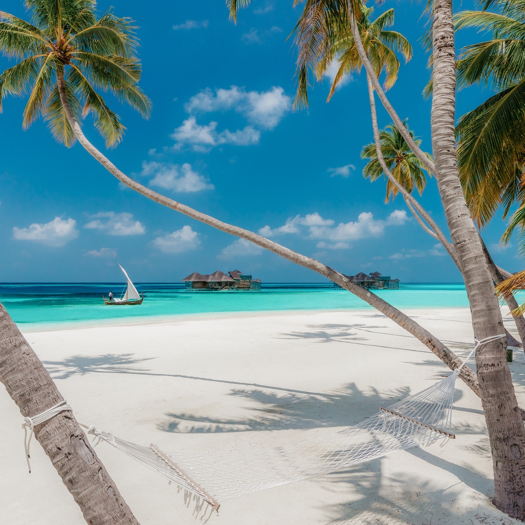 Gili Lankanfushi tweet media