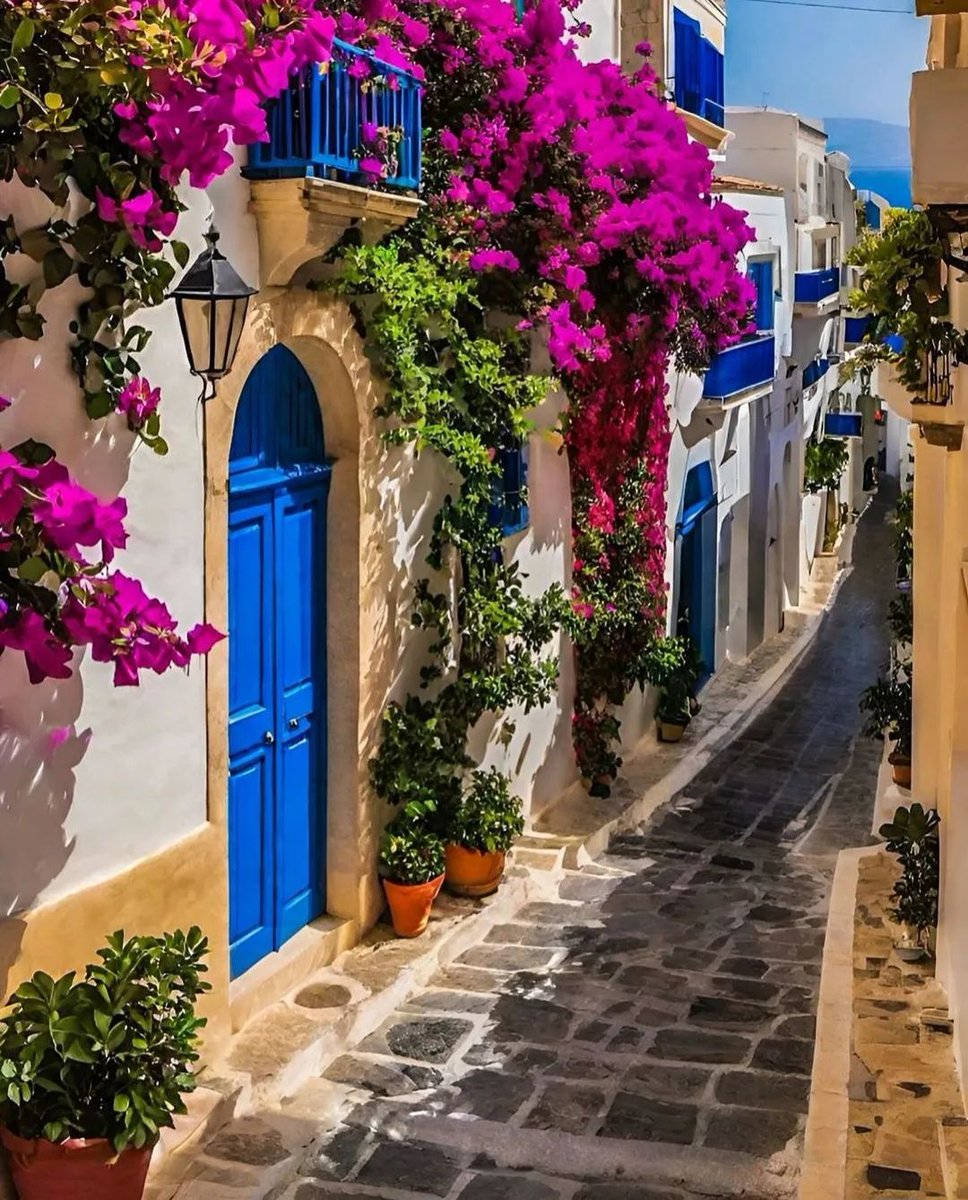 bluebutterflyyl's tweet photo. 🦋Rhodos Island 🇬🇷🌺🤍💙🌺🇬🇷 https://t.co/U21yXDvNFP
