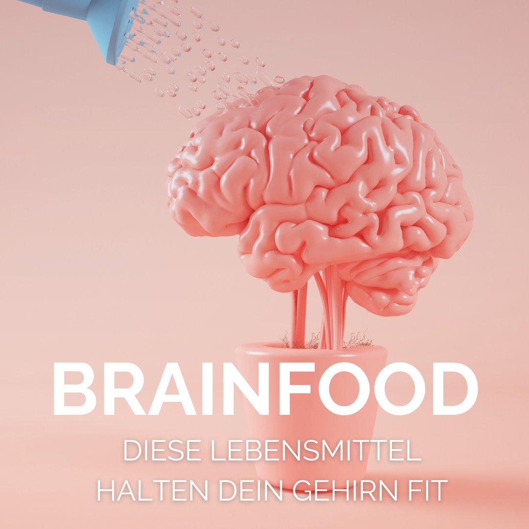 mgmt_circle's tweet photo. Ihr Gehirn verdient mehr als langweiliges Kantinenessen – es verdient einen Food-Boost der Extraklasse! 🧠🍇

Lesen Sie jetzt unseren aktuellen Blogbeitrag🌐
https://t.co/PD4D4nkITt

 #BrainFuelRevolution #SuperfoodSaga #Ernährung #ManagementCircle https://t.co/hoaFYfK3gH
