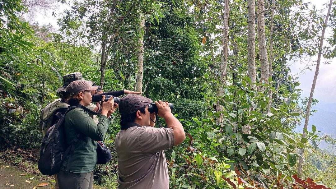 ProFauna's tweet image. Tim Profauna sedang asyik melakukan pengamatan burung dan survei area trekking untuk acara Bali Wildlife Camp 2024. Apakah kamu memiliki pengalaman serupa atau mungkin punya saran tempat terbaik untuk menyaksikan keindahan burung di sekitar Bali?