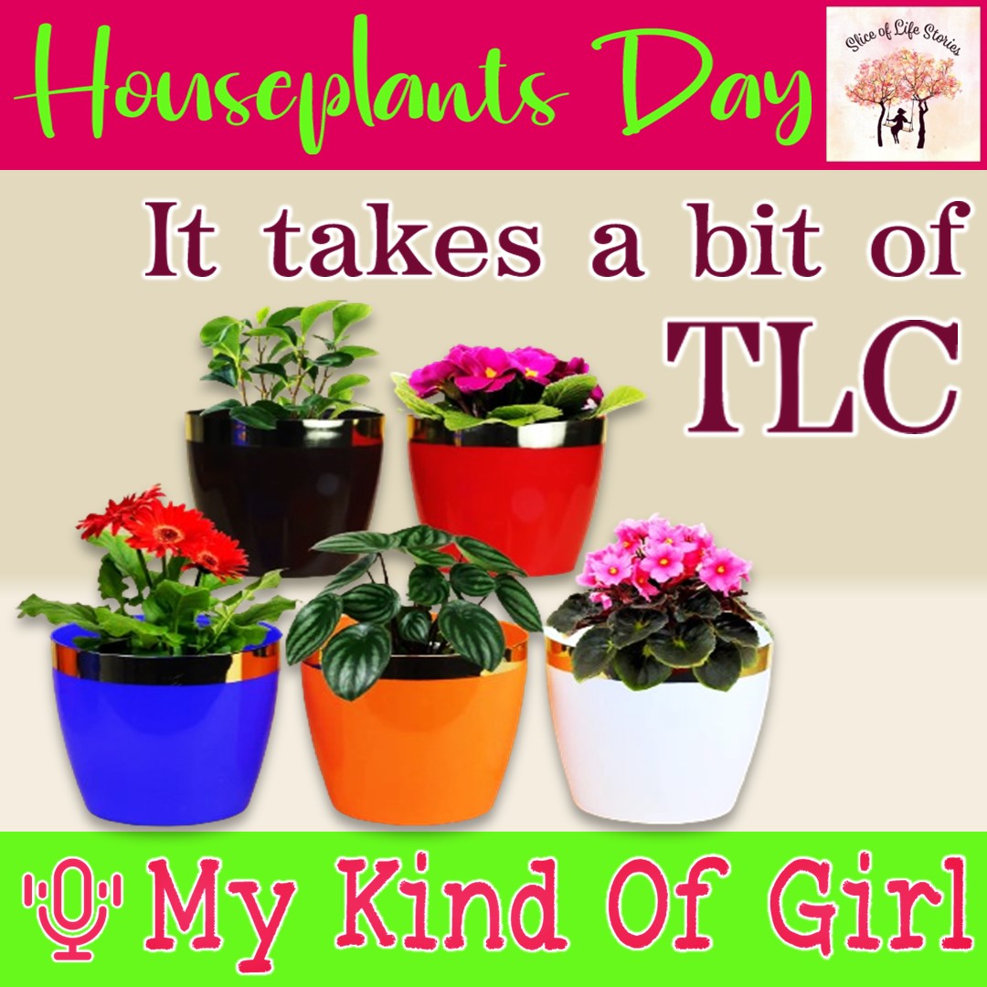 sliceoflife466's tweet photo. Houseplants Day with 🎙 My Kind Of Girl
▶ https://t.co/ZX9PP3CW5h
#mykindofgirl #traincompartment #regularpassenger #prettygirl #bookworm #conservative #admiringfromafar #signlanguage #houseplant #plants #plantlove #gardening #livingwithplants #houseplantappreciationday https://t.co/bfLXH5ZK9v
