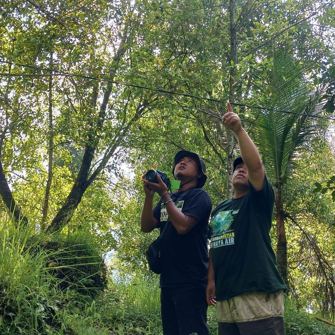ProFauna's tweet image. Tim Profauna menyaksikan keindahan alam Desa Pedawa dengan melakukan pengamatan burung di belakang rumah adat dan sekitar sumber mata air Muncus. Apakah kamu pernah merasakan keasyikan melakukan pengamatan burung?