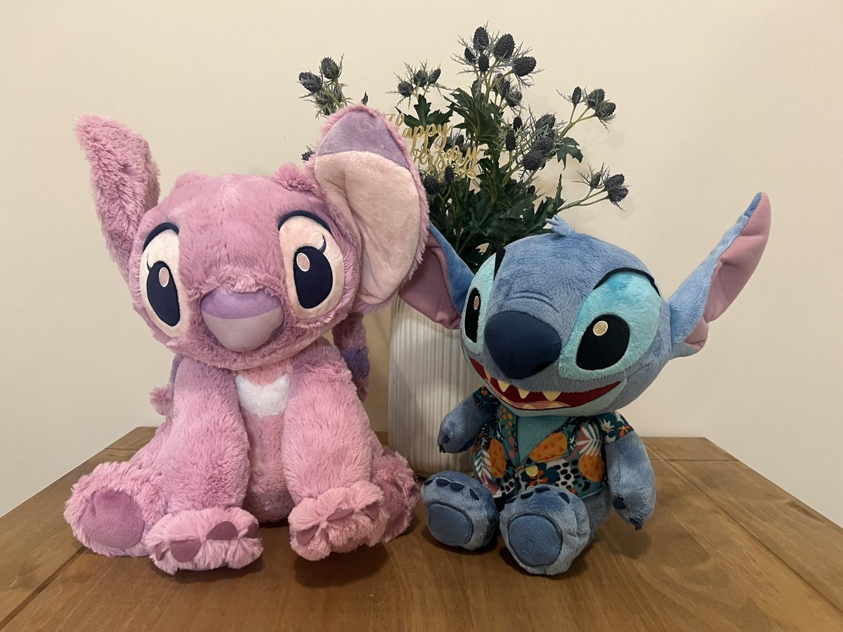 Sunshine Biscuit at scale 🍪 tweet media