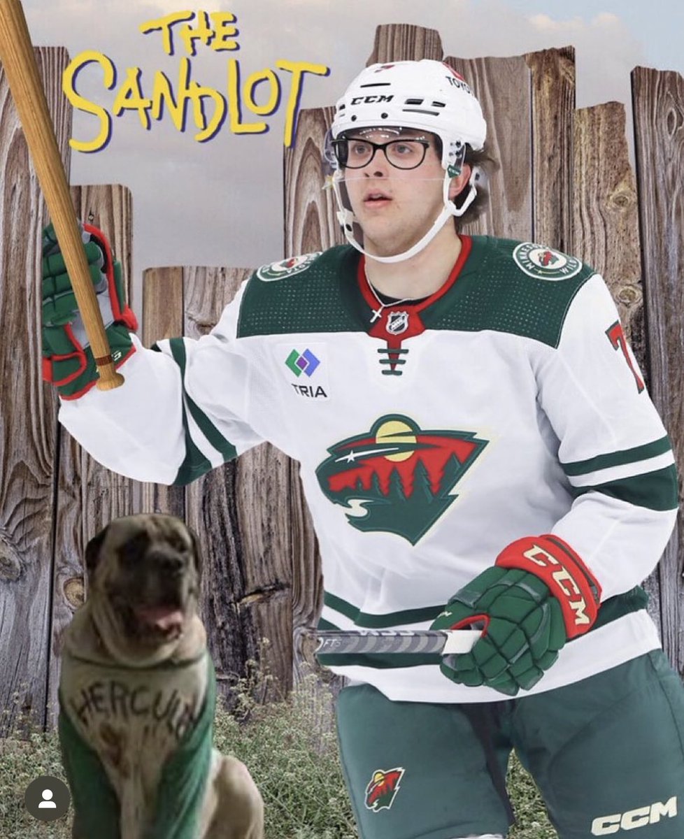 marissavoss's tweet image. The future Calder and Norris winner deserves to be at the All Star game.

RT this to make sure our boy gets there!!

#mnwild #NHLAllStarVote