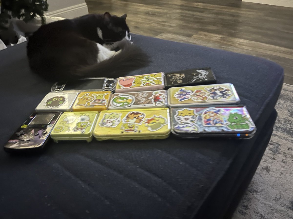 Andre Retro Raptor tweet media