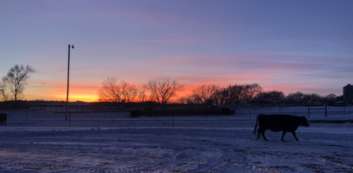 Scottgunz1's tweet photo. Another beauty!
#Nebraskasunset https://t.co/ACxVNjxx6G
