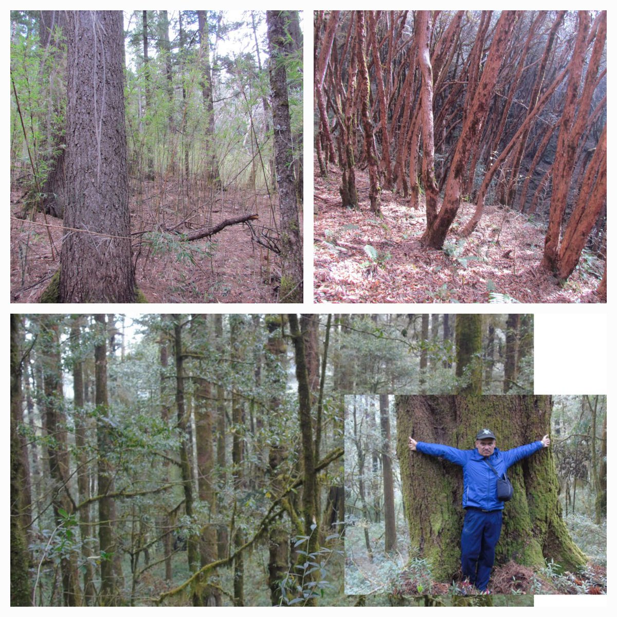 Shiva Khanal tweet media