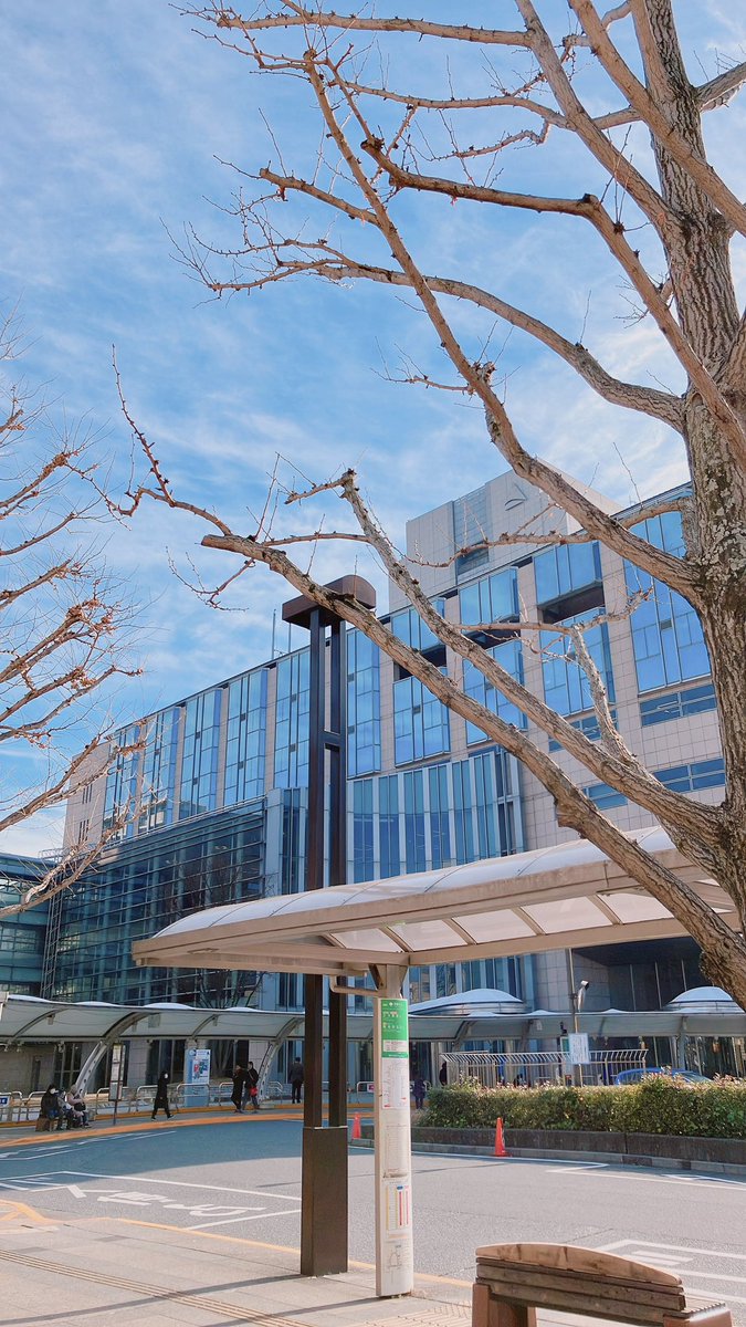 区役所おわり、無事入籍できた🥳