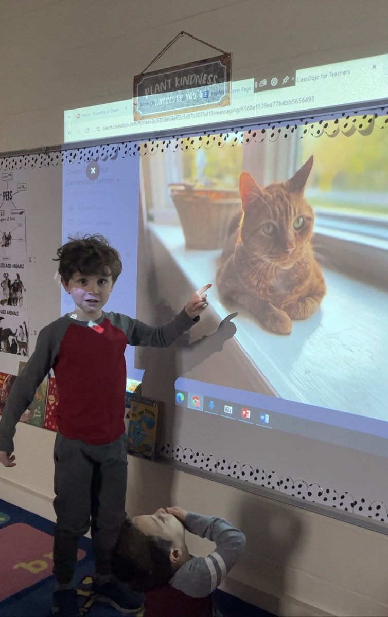 Graceyycredle's tweet photo. Our Pet of the Day is Charmaduke. Wyatt confidently talked about his pet cat to the class. He gave a detailed description of his pet, his favorite food and the activities they do together.
#PetStudy
#PreschoolisCool
#OTES
#Spartanlegacy https://t.co/KE8iiOrYE5
