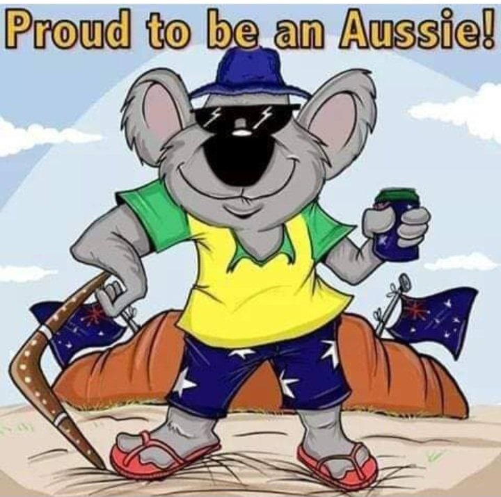 Australian Patriot. (@jimthom90458694) on Twitter photo 