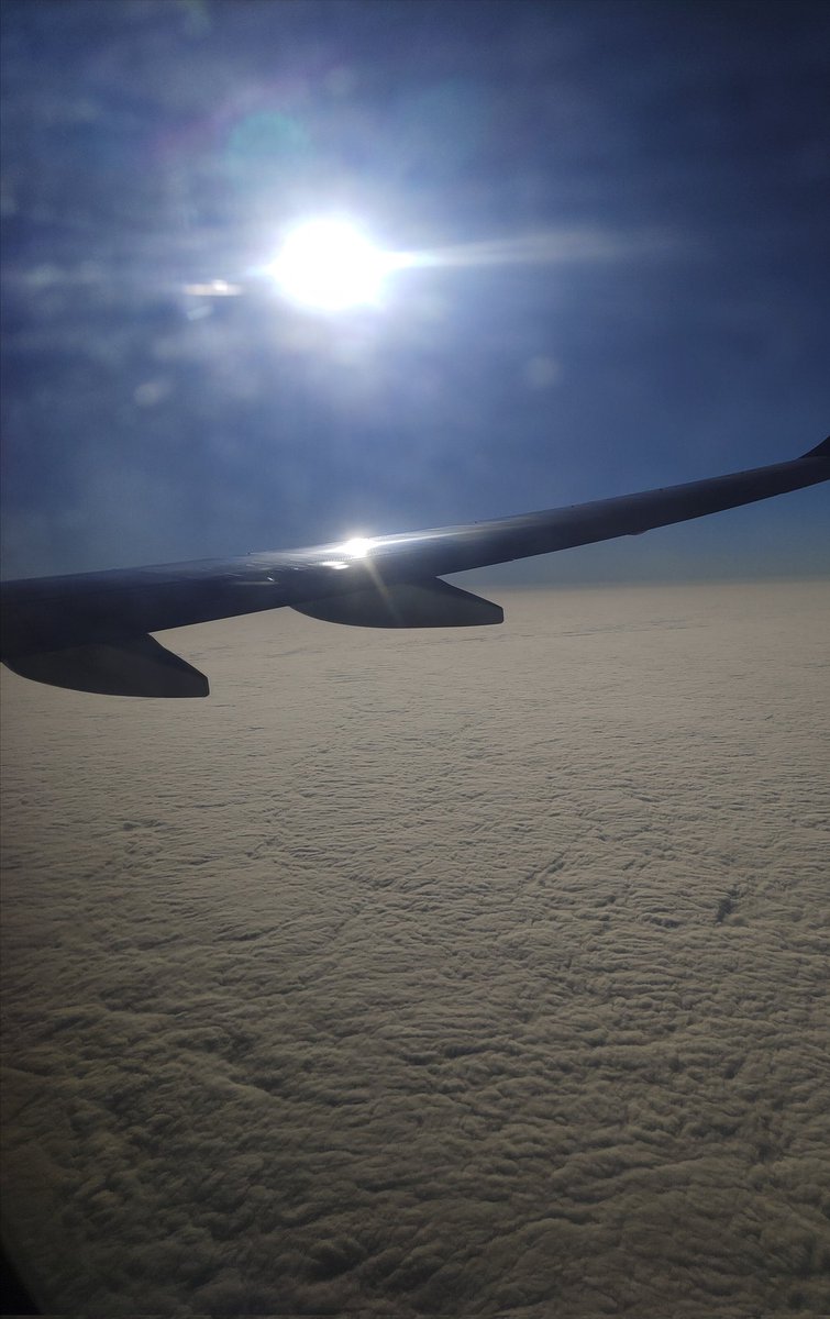 docdkm's tweet photo. #WinterFlight
#MorningFog engulfing city https://t.co/uqbJ8ss3kW