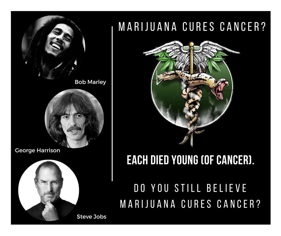 PoppotGroup's tweet photo. One of the unfounded claims is that marijuana #curescancer (In some cases, it even causes cancer, particularly testicular cancer in young men.) https://t.co/8JEEJGQGob