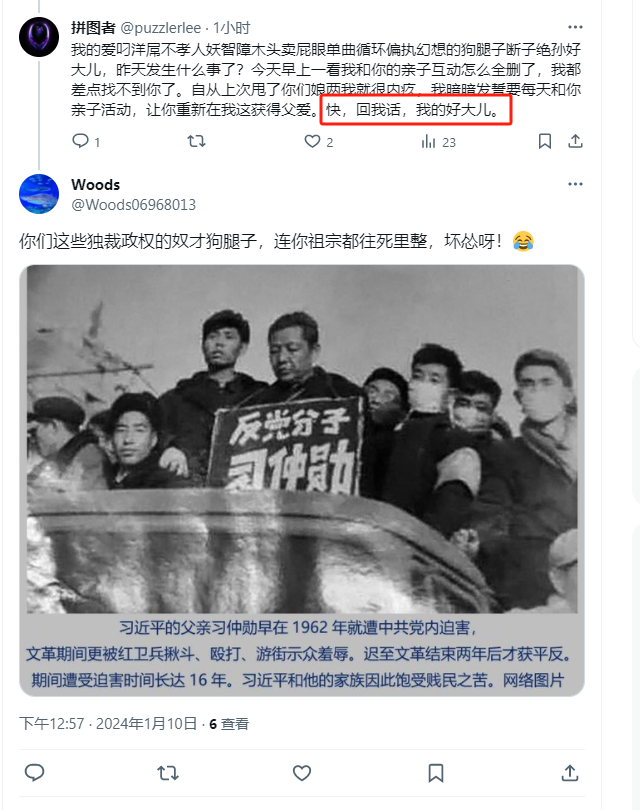 拼图者 tweet media