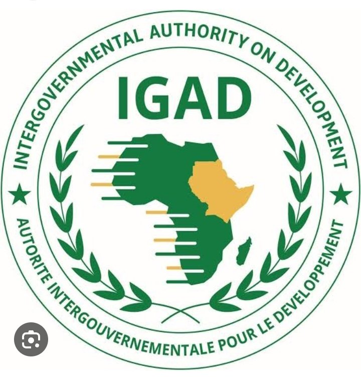 MiracleFive1's tweet photo. Exciting times ahead as Uganda hosts the #IGADSummit on January 18, 2024! 🌍 Leaders from the Intergovernmental Authority on Development coming together for regional cooperation and progress. 🤝 #IGADSummitUg2024 https://t.co/HxU3i5VFwq