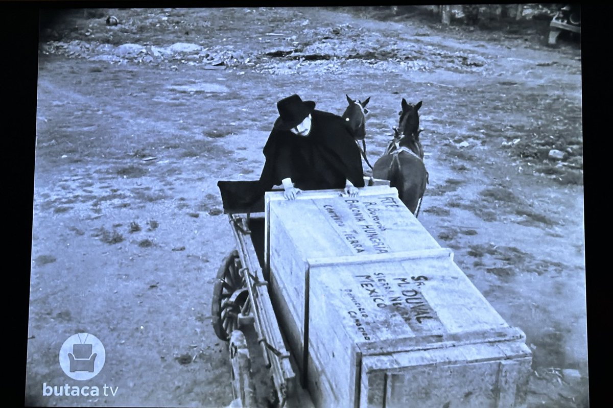 RicardoCotta's tweet photo. Oigan, descubrí #ButacaTv un canal de streaming con grandes clásicos del cine de oro mexicano, aquí unas imágenes de “El Vampiro” (1957) con #GermanRobles un referente en la filmografía de vampiros de la época. Aunque algunas convenciones del género son evidentes, la película logra ofrecer una experiencia inmersiva y emocionante que ha dejado una marca duradera en la cultura cinematográfica mexicana.