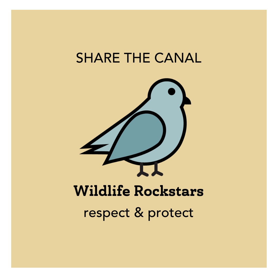 High Line Canal tweet media