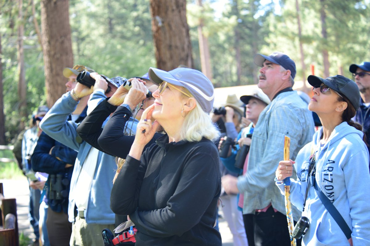 The new year is finally here and that means lots of new things are happening at Chirp! 🦉Checkout our website and socials to stay informed of upcoming sales, events, and our birdwalks coming soon. #chirpnaturecenter #chirpforbirds #bigbear #birders