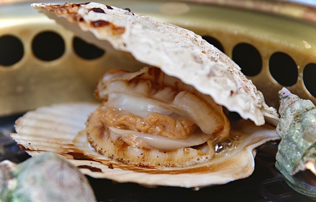 shimablo_jp's tweet photo. 北海道しままき村の道駅

買ってその場で焼けて食べれる
ホタテの味も香りも最高でした

（確か５月頃）
（確か一個100〜200円） https://t.co/pJfLPOMiRp