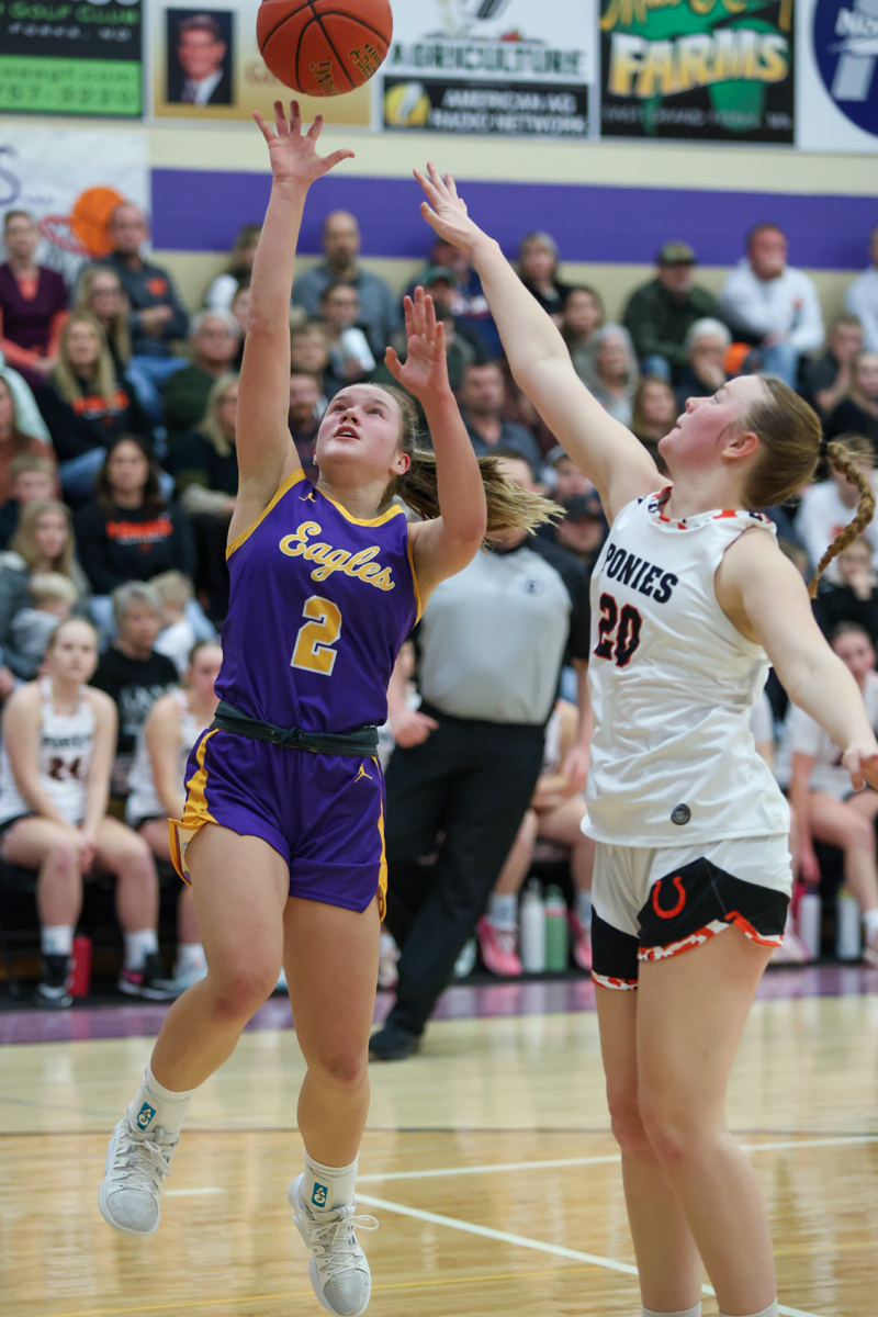 The Exponent EGF MN tweet media