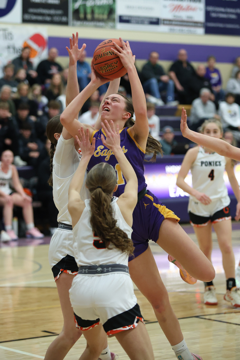 The Exponent EGF MN tweet media