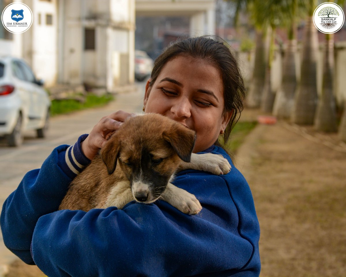 #Sankalp - The #CSR Cell of @IIM_Sirmaur organized a #VaccinationDrive for the well-being and protection of #puppies on our campus. We extend our gratitude to everyone who contributed to the success of this #initiative and hope to organize more such events in the future.